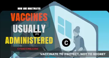 Understanding Inactivated Vaccines: Common Administration Methods and Techniques