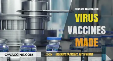 Understanding Inactivated Virus Vaccines: A Step-by-Step Manufacturing Process