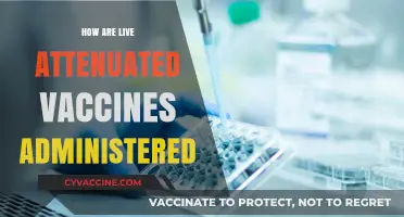 Administering Live Attenuated Vaccines: Methods, Safety, and Best Practices