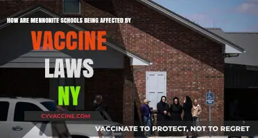 NY Vaccine Laws Impact on Mennonite Schools: Challenges and Adaptations