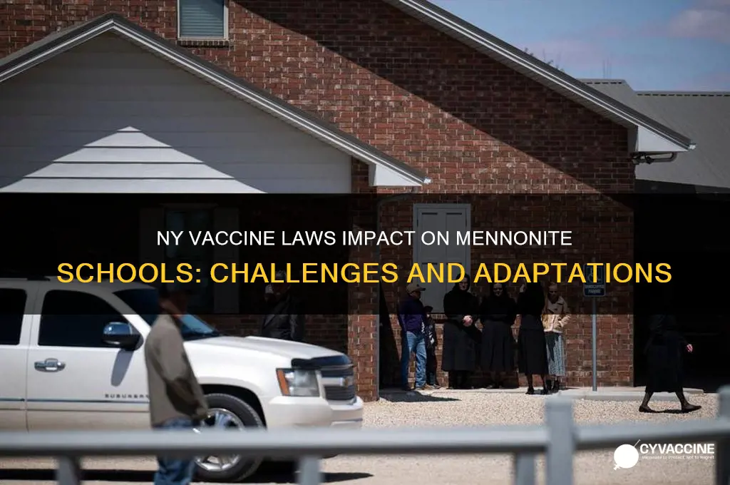 how are mennonite schools being affected by vaccine laws ny