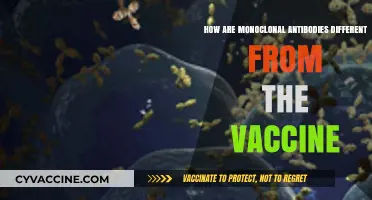Monoclonal Antibodies vs. Vaccines: Key Differences Explained