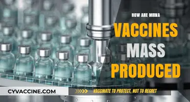 Scaling mRNA Vaccines: The Mass Production Process Explained