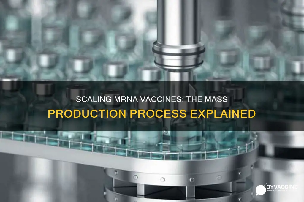 how are mrna vaccines mass produced