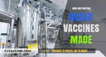 Understanding Protein-Based Vaccines: A Step-by-Step Manufacturing Process