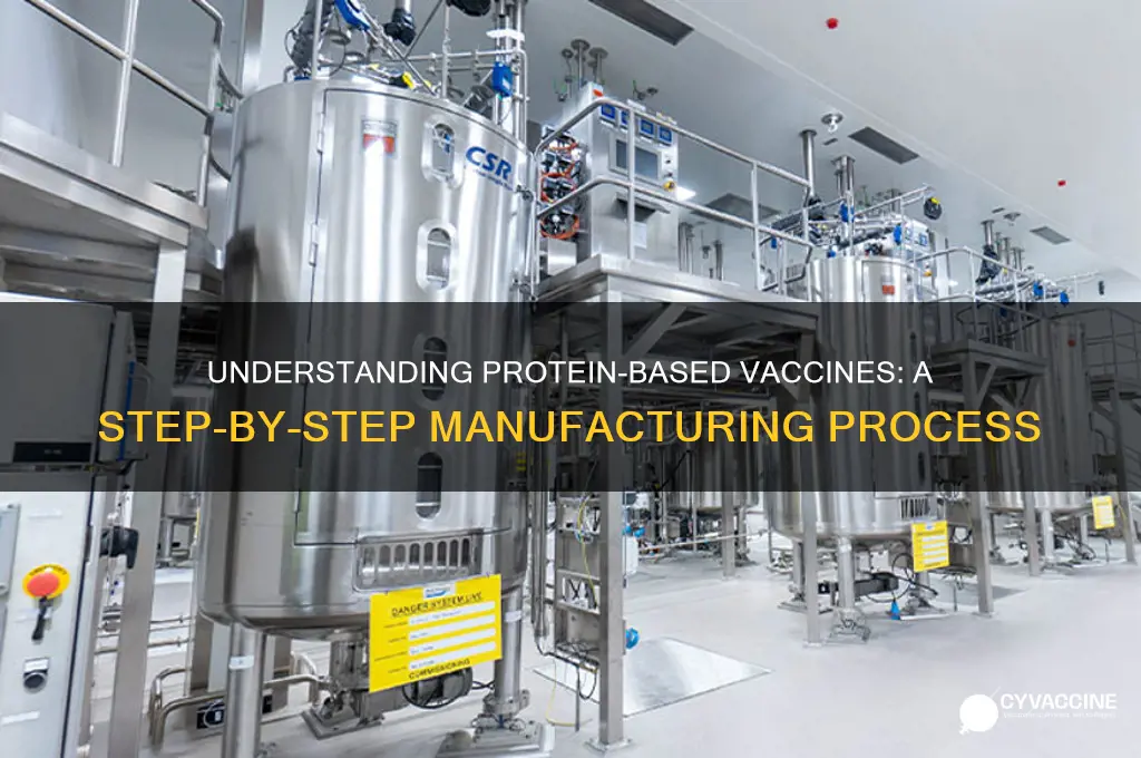 how are protein based vaccines made