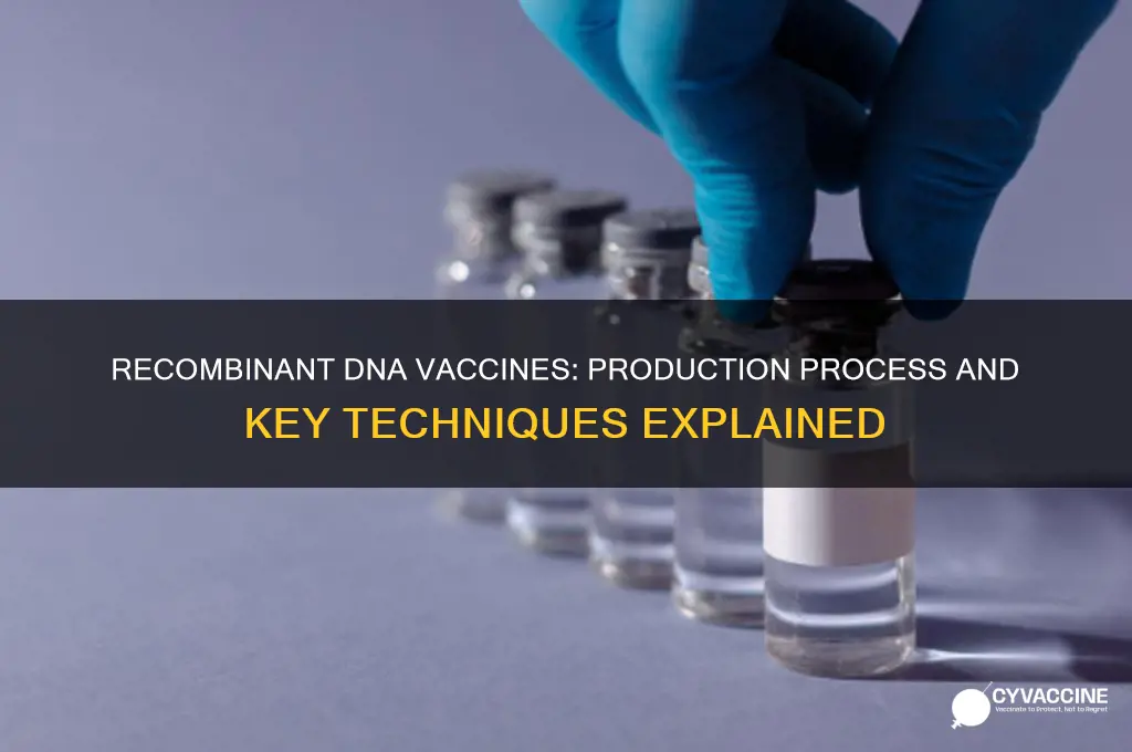 how are recombinant dna vaccines produced