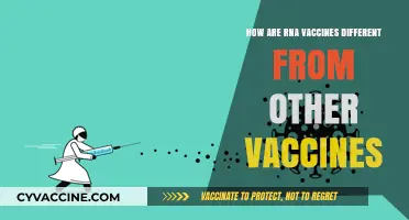 RNA Vaccines vs. Traditional Vaccines: Key Differences Explained