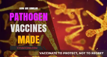 Crafting Similar Pathogen Vaccines: A Unified Scientific Approach Explained