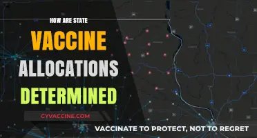 Understanding State Vaccine Allocations: Key Factors and Decision-Making Processes