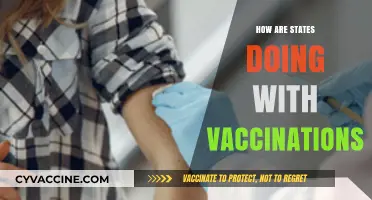 State Vaccination Progress: Successes, Challenges, and What’s Next