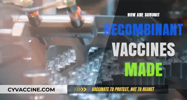 Crafting Subunit Recombinant Vaccines: A Step-by-Step Manufacturing Process