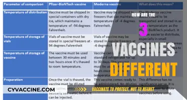 Comparing COVID-19 Vaccines: Key Differences in Pfizer, Moderna, and Johnson & Johnson