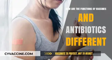 Vaccines vs. Antibiotics: Understanding Their Unique Roles in Health