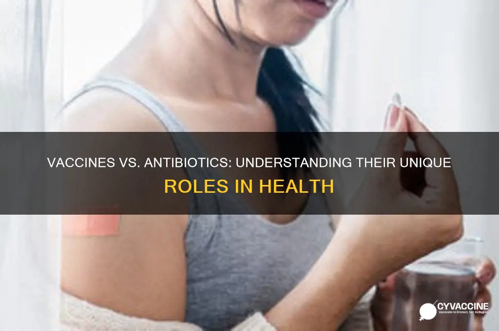 how are the functions of vaccines and antibiotics different