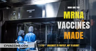 Unveiling the Science: How mRNA Vaccines Are Manufactured