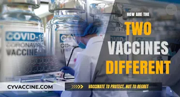 Comparing COVID-19 Vaccines: Key Differences in Technology and Efficacy