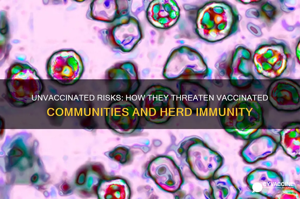 how are the unvaccinated a danger to the vaccinated