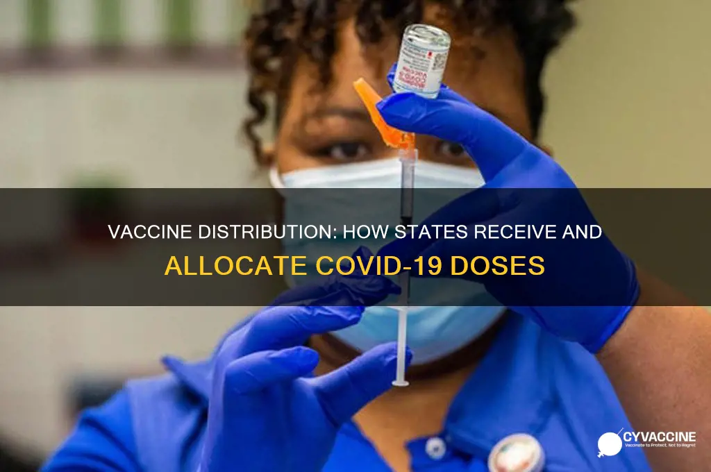 how are the vaccines being distributed to the states