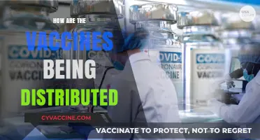 Global Vaccine Distribution: Strategies, Challenges, and Equity in Access