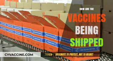 Global Vaccine Distribution: Shipping Challenges and Logistics Explained