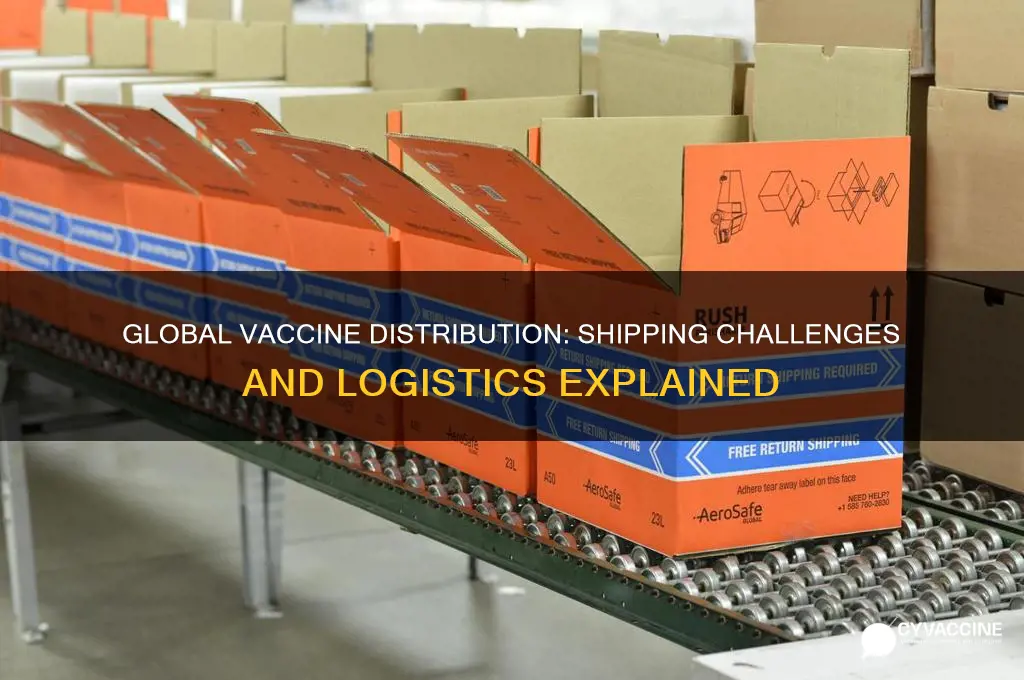 how are the vaccines being shipped