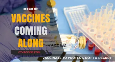 Vaccine Progress: Latest Updates on Development, Distribution, and Effectiveness