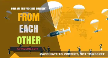 Comparing COVID-19 Vaccines: Key Differences in Technology and Efficacy