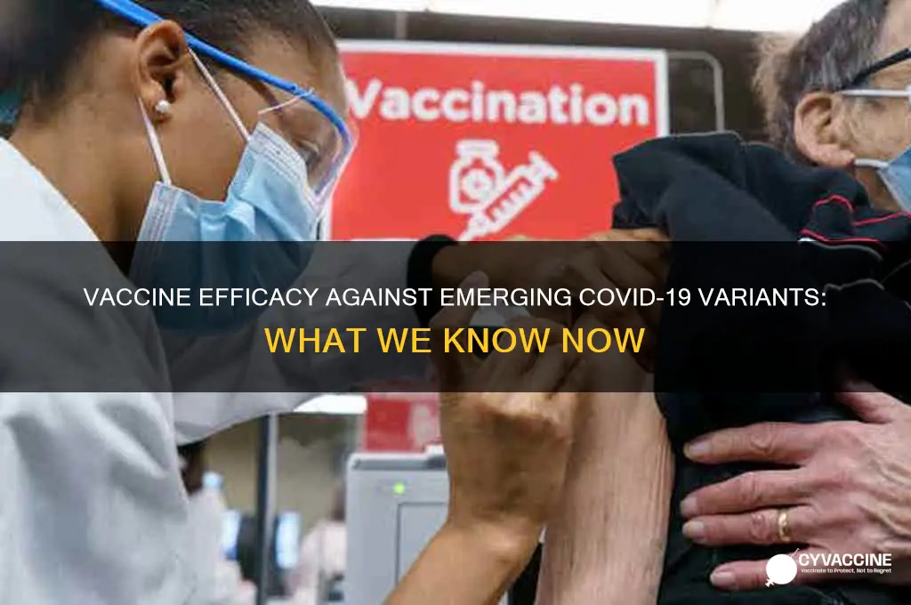 how are the vaccines doing against the variants