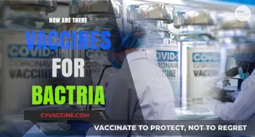 Understanding Bacterial Vaccines: How Science Creates Immunity Against Bacteria
