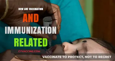 Vaccination vs. Immunization: Understanding Their Vital Connection and Role