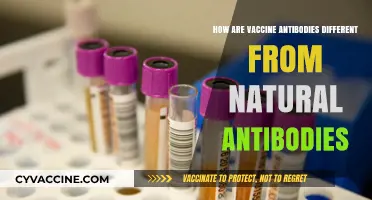 Vaccine vs. Natural Antibodies: Key Differences and Immune Responses