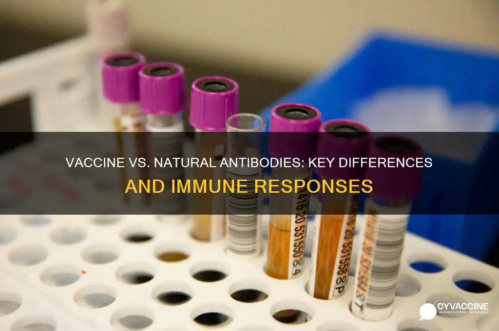how are vaccine antibodies different from natural antibodies