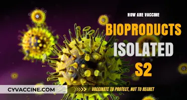 Isolating Vaccine Bioproducts: Techniques and Processes Explained in S2