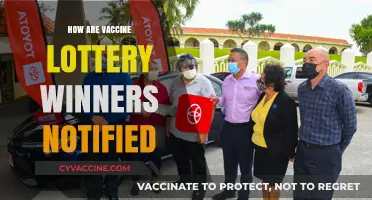 Vaccine Lottery Winners: Notification Methods and What to Expect
