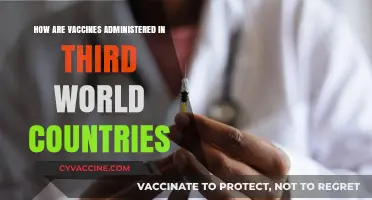 Vaccine Distribution Challenges: Administering Immunizations in Developing Nations