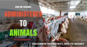 Animal Vaccination Methods: How Are Vaccines Administered to Pets and Livestock?
