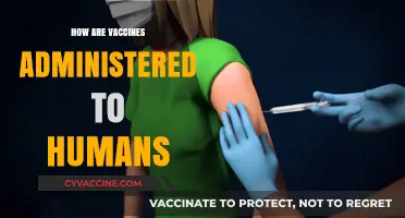 Understanding Vaccine Administration: Methods, Safety, and Human Immunization Process
