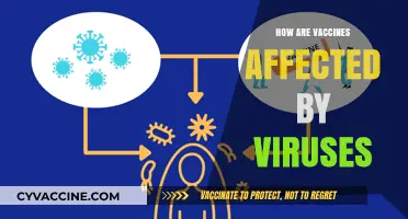 Viruses vs. Vaccines: Understanding the Impact on Immunity and Efficacy