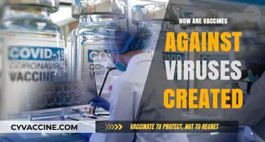 Unveiling the Science: How Vaccines Against Viruses Are Developed