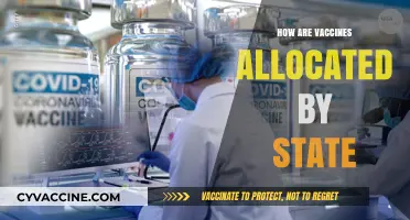 State Vaccine Allocation: Understanding Distribution Strategies and Priorities