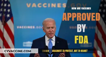 FDA Vaccine Approval Process: Safety, Efficacy, and Rigorous Review Explained