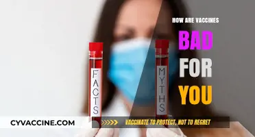 Vaccine Concerns: Debunking Myths About Potential Health Risks