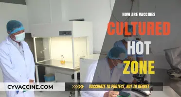 Cultivating Vaccines in Hot Zones: Challenges and Innovations in Production