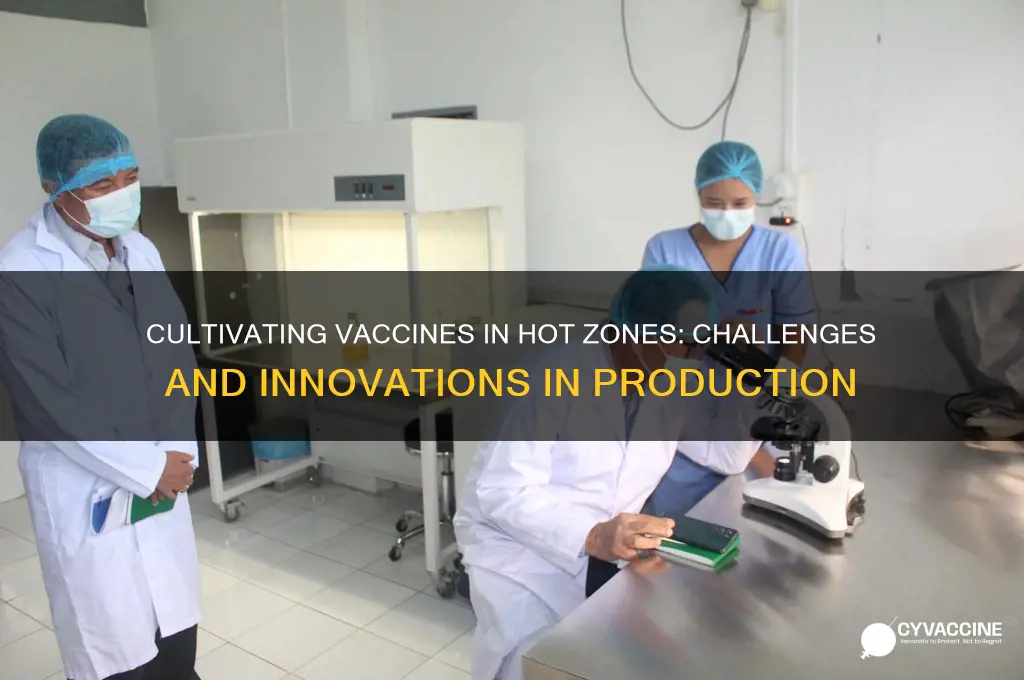 how are vaccines cultured hot zone