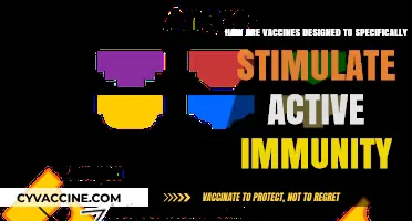 How Vaccines Trigger Active Immunity: A Detailed Design Process