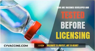 Vaccine Development Process: Rigorous Testing and Licensing Requirements Explained