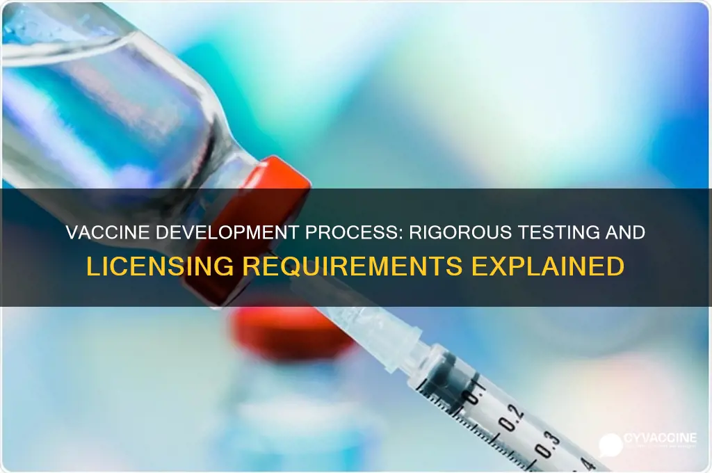 how are vaccines developed and tested before licensing