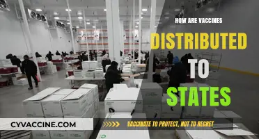Vaccine Distribution Explained: How States Receive and Allocate Doses