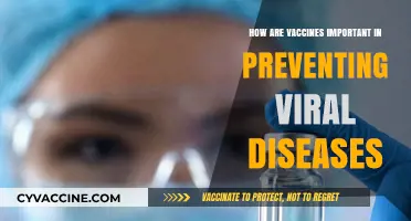 Vaccines: Vital Shields Against Deadly Viral Diseases and Outbreaks